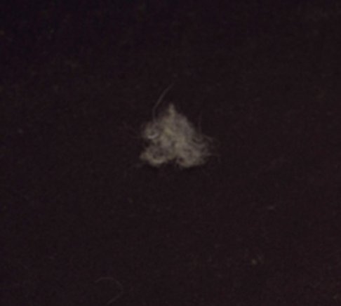 写真 1ページ目 ニットの毛羽立ちの直し方 よくやる4つの方法 ベストはどれ Esseonline エッセ オンライン