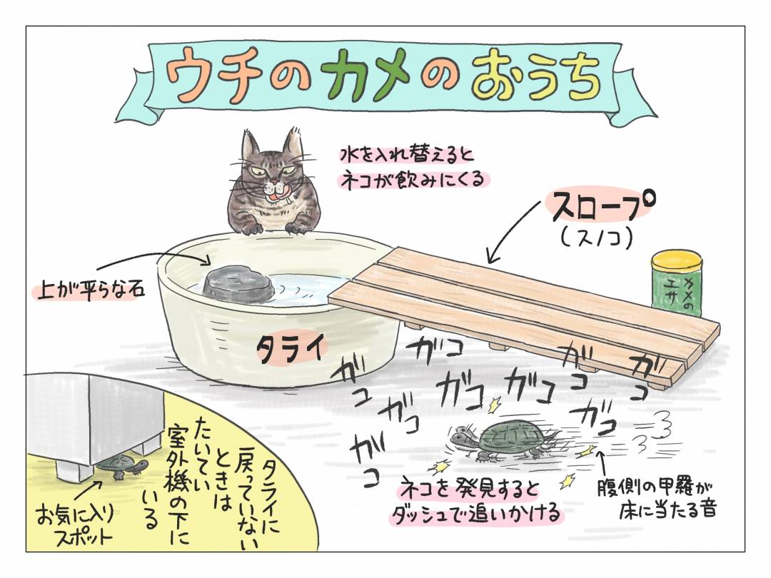 マンション大規模工事中 いちばん困っているのは亀 子育て絵日記 Esseonline エッセ オンライン マンション大規模工事中 いちばん困っているのは亀 子育て絵日記 Esseonline エッセ オンライン