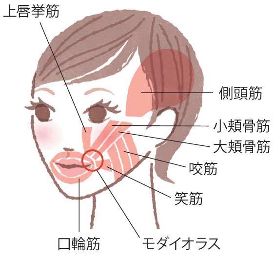 顔の下半分が伸びると老ける ほうれい線にも働きかける美人顔エクササイズ Esseonline エッセ オンライン