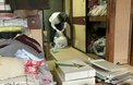 義実家の片付けを8年続けたら、義母から驚きのひと言が。本人に納得して手放してもらうコツ